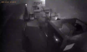 Caméra IP - Ucrania