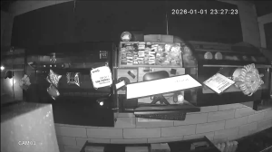 Caméra IP - Russian Federation