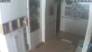 Caméra IP - Hong Kong