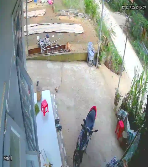 Caméra IP - Vietnam