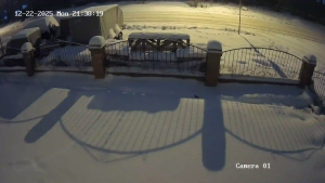 Caméra IP - Russische Föderation