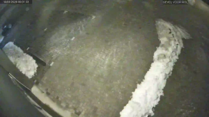 Caméra IP - Paesi Bassi