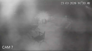 Caméra IP - South Africa