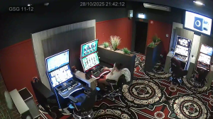 Caméra IP - Alemania