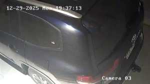 Caméra IP - Saudi Arabia