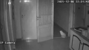 Caméra IP - Argentina