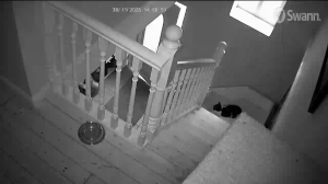 Caméra IP - Ireland