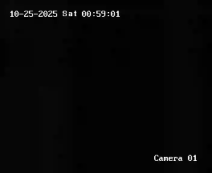 Caméra IP - Albania