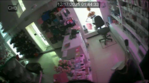 Caméra IP - Russian Federation