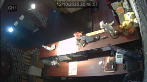 Caméra IP - Südkorea