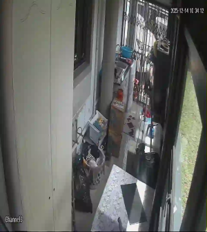 Caméra IP - South Africa