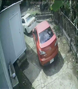 Caméra IP - Porto Rico