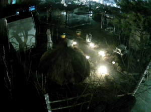 Caméra IP - Corée du Sud