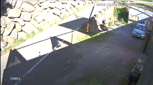 Caméra IP - Taïwan