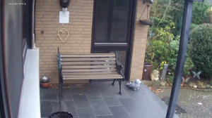 Caméra IP - Germany