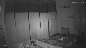 Caméra IP - Malaysia