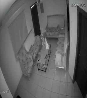 Caméra IP - Saudi Arabia