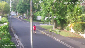 Caméra IP - Afrique du Sud