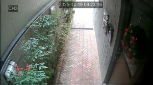 Caméra IP - South Korea