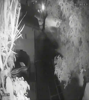 Caméra IP - Argentina