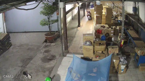 Caméra IP - Vietnam