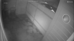 Caméra IP - Nueva Zelanda