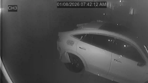 Caméra IP - Vereinigte Staaten von Amerika