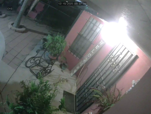 Caméra IP - Vereinigte Staaten von Amerika