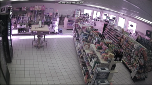 Caméra IP - United States of America