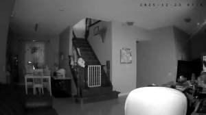 Caméra IP - United States of America