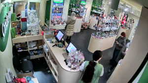 Caméra IP - Russische Föderation