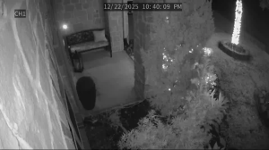 Caméra IP - Vereinigte Staaten von Amerika