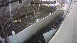 Caméra IP - United States of America