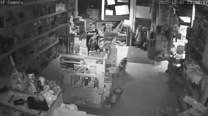 Caméra IP - Bulgaria