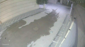 Caméra IP - Algerien