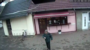 Caméra IP - Hungría