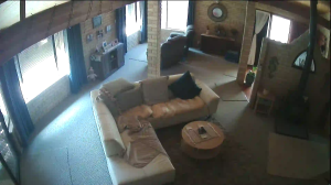 Caméra IP - Australia