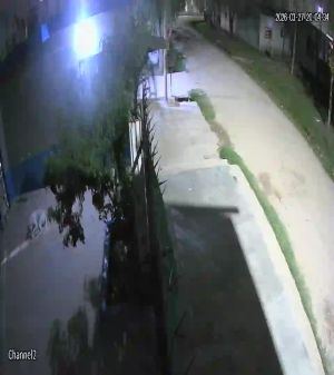 Caméra IP - Argentina