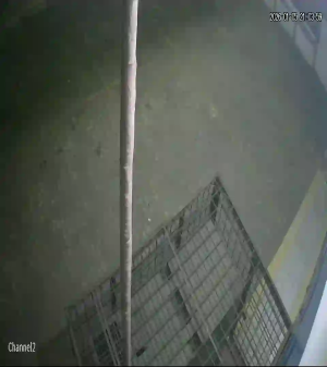 Caméra IP - Indonésie