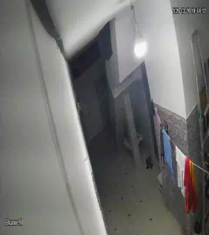 Caméra IP - Tunisia