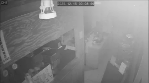 Caméra IP - South Korea