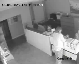 Caméra IP - Afrique du Sud