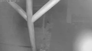 Caméra IP - Hungary