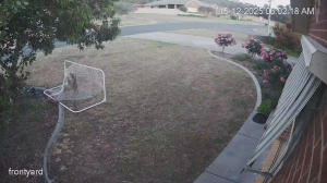 Caméra IP - Australia