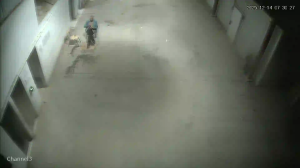 Caméra IP - Algerien