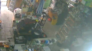 Caméra IP - Georgia