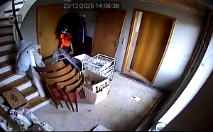 Caméra IP - Denmark