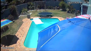 Caméra IP - South Africa