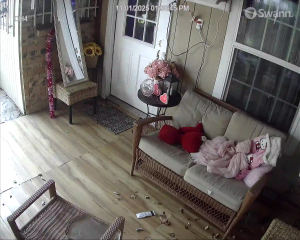 Caméra IP - United States of America