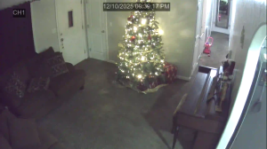 Caméra IP - États-Unis d'Amérique